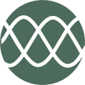 analise